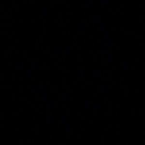 Meet your Posher, Rian